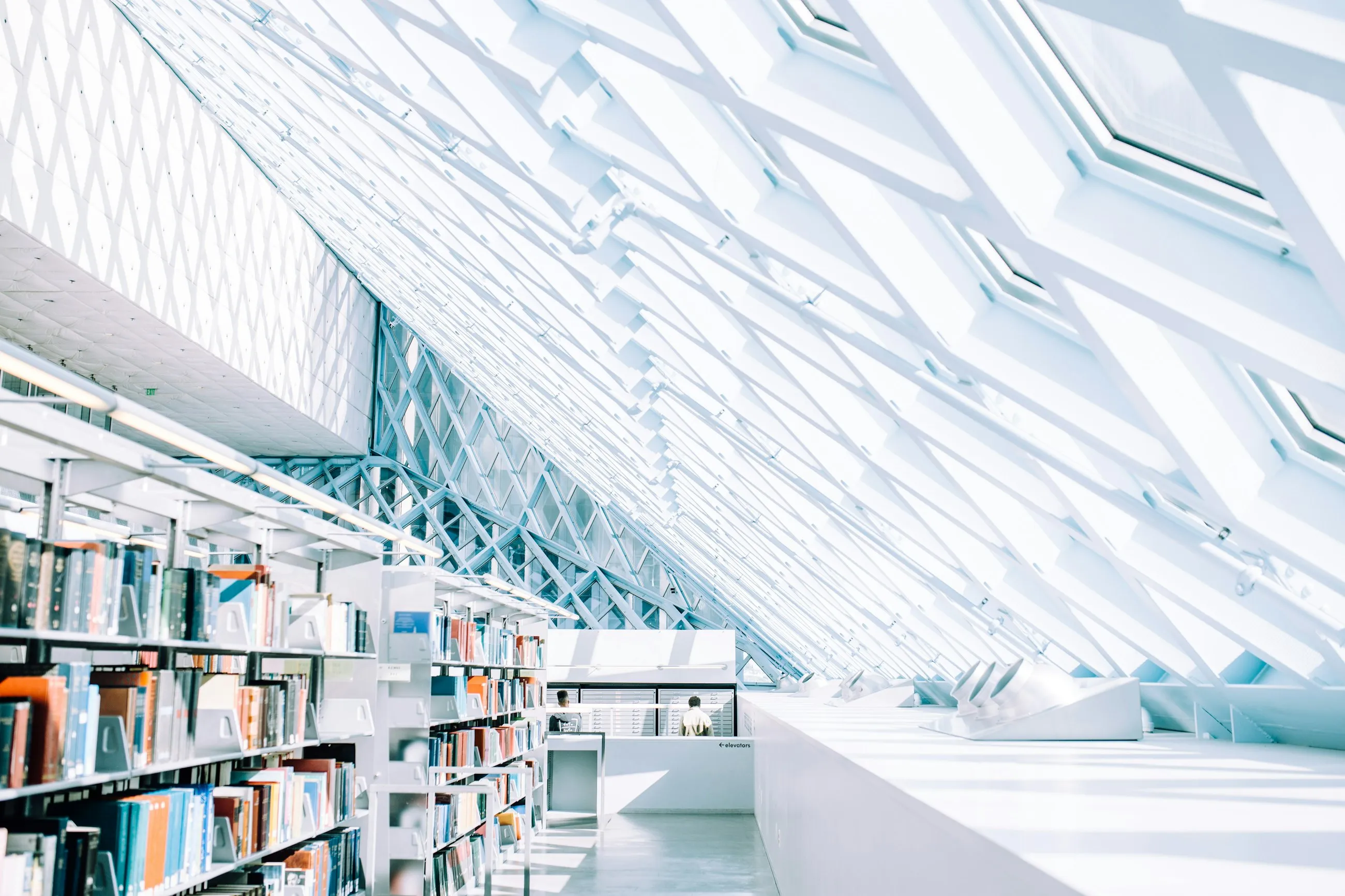 Une bibliothèque contemporaine baignée de lumière.